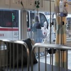 이상,병상,대기자