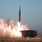 북한,탄도미사일,미사일,평가,탑재,능력,무기,시험