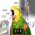 주가,후회,투자자,비트코인