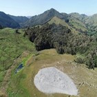 화산,진흙,뉴질랜드,이번,목장