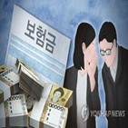 보험조사전문가,보험사기,도입