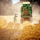 가격,곡물,옥수수,내년
