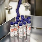 도스,백신,수출,생산