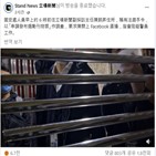 홍콩,빈과일보,혐의,체포,입장신문,간부