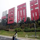 대만,양안,독립,강력