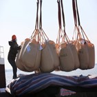 중국,수출,완화,우려