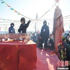 물고기,중국,축제,간호,낙찰