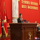 전원회의,북한,회의,김정은,전망