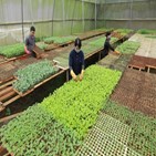 유기농,베트남,생산,대한