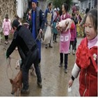 학생,중국,돼지,새끼,지역