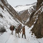 아프간,추위,여성,유엔