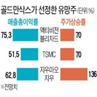 매출총이익률,올해,골드만삭스,가격,상승