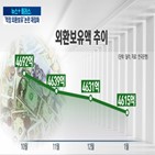 외환보유액,환율,우리나라,수준,적정,달러