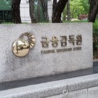 개인사업자대출,빅테크,방안,금감원,리스크,마련,관리,점검,정상화,금융