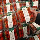 딸기,가격,지난달,이달,농식품부,작년