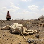 가축,가뭄,아프리카,지역