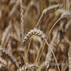 러시아,중국,우크라이나,침공