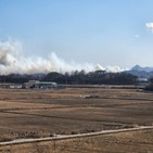 산불,충남