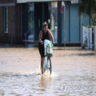 홍수,피해,호주,폭우,지역,2조