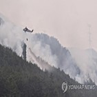 산불,납세자,최대,납부,신청