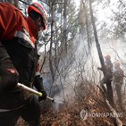 산불,헬기,산림당국,지역