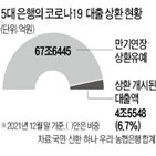 상환,대출,방안,연장,만기,연착륙,차주