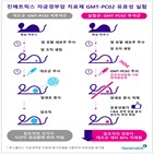 자궁경부암,개발,진매트릭스,세포