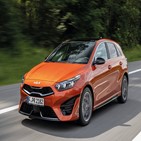 감소,현대차그룹,유럽