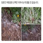 강아지,가루,부평공원,견주