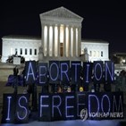 낙태,미국,여성,판례,낙태권,웨이드,성향