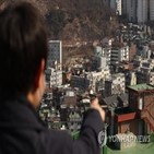 빌라,매매,아파트,올해,비중,주택,서울,사업,재개발
