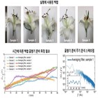 향기,기술,교수