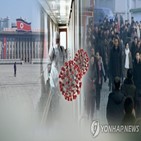 북한,감염자