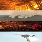 산불,기후,위기,기록,사투