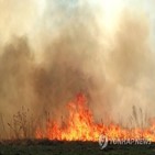 피해,산불,크라스노야르스크주