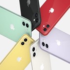 아이폰11,출시,제품,스마트폰
