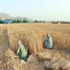 수출,식량,아프간,아프가니스탄