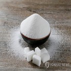 설탕,수출,중국,사탕수수,생산량,올해,가격,세계