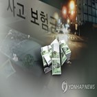 보험사기,적발,손해보험,환수율,보험금,보험,인원