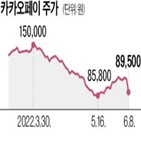 카카오페이,보유,주가,앤트그룹,회사