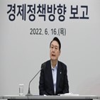 경제,대통령,민간,위기,정부