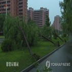 폭우,북한,강한,피해