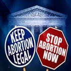낙태,관련,허용,의원,태아,법안,여성,헌재,처벌,인정