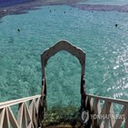 상어,홍해,공격,이집트