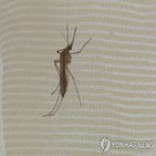 모기,일본뇌염,발견