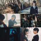 박세완,연기,앨리스,최종병기,작품,액션