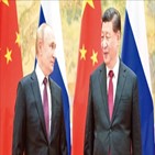 러시아,중국,수출,부품,산화알루미늄,분석,소재,규모