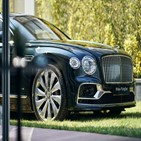 차종,고가,경우,수입차