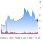 테슬라,공장,분석가,상하이