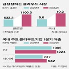 클라우드,기업,시장,국내,외국계,업체,투자